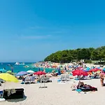 Danica * 프리모스턴